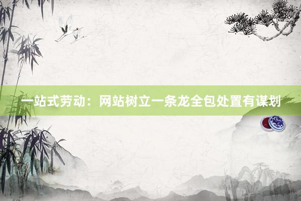 一站式劳动：网站树立一条龙全包处置有谋划